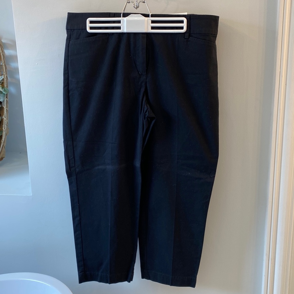 New with tags, LOFT OUTLET, original crop, straight through hip and thigh